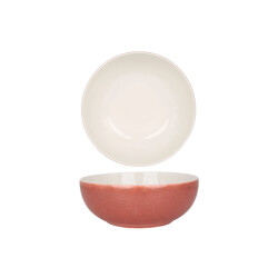 Rinart Diepbord rosa porselein 23 cm (2000cc) set van 6
