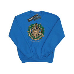 Li-cense Harry potter heren sweatshirt met kerstkrans