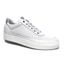 Cycleur de Luxe Montreal