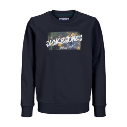 Jack & Jones Jjhawaii shape sweat crew neck jnr