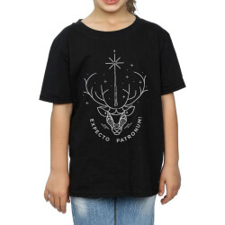 Li-cense Harry potter katoenen t-shirt expecto patronum voor meisjes