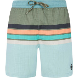 Protest avik beachshort zwemshort heren -
