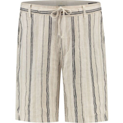 Dstrezzed Ds logan beach short