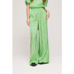 Harper & Yve Ss25j101 broek rosie
