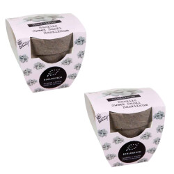 CaliCosy Pot bamboe biologische basilicum zaailingen set van 2