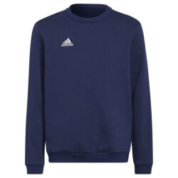 Adidas Kinderen/kinderen entrada 22 sweatshirt