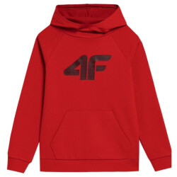 4F Kinderen/kids jss23tswsm220 hoodie