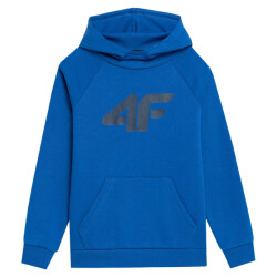 4F Kinderen/kids jss23tswsm220 hoodie