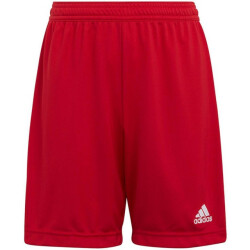 Adidas Kinderen/kinderen entrada 22 korte broek