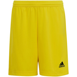 Adidas Kinderen/kinderen entrada 22 korte broek