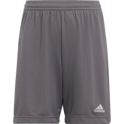Adidas Kinderen/kinderen entrada 22 korte broek