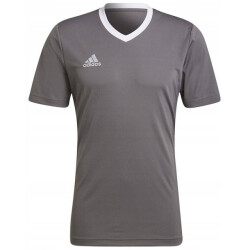Adidas Heren entrada 22 jersey