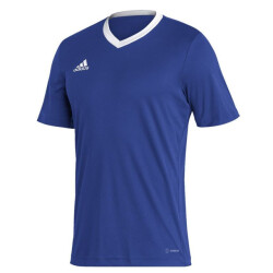 Adidas Heren entrada 22 jersey