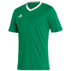 Adidas Heren entrada 22 jersey