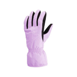 4F Dames aw23afglf099 skihandschoenen