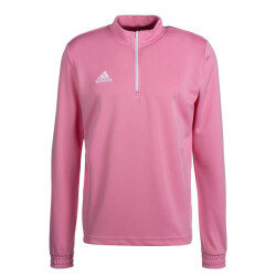 Adidas Heren entrada 22 trainings sweatshirt