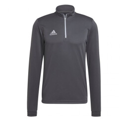 Adidas Heren entrada 22 trainings sweatshirt