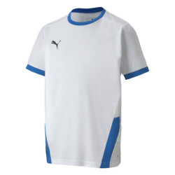 Puma Teamgoal 23 jersey voor kinderen/kinderen