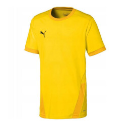 Puma Teamgoal 23 jersey voor kinderen/kinderen