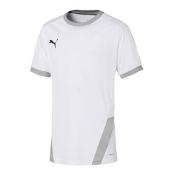 Puma Teamgoal 23 jersey voor kinderen/kinderen