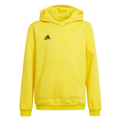 Adidas Kinderen/kinderen entrada 22 hoodie