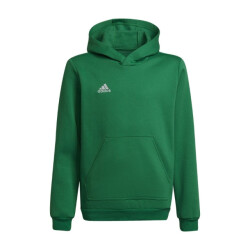 Adidas Kinderen/kinderen entrada 22 hoodie