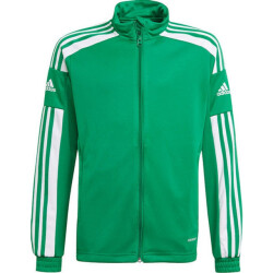 Adidas Heren squadra 21 presentatiejas