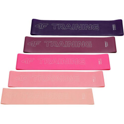 4F H4l22 aks008 weerstandsband (set van 5)
