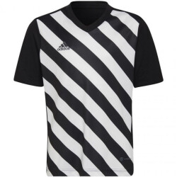 Adidas Kinder/kids entrada 22 grafische trui