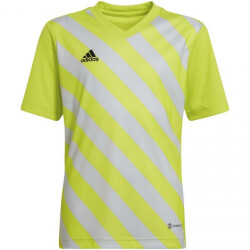 Adidas Kinder/kids entrada 22 grafische trui