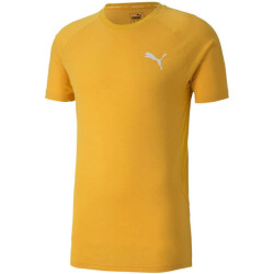 Puma Heren evostripe lite t-shirt