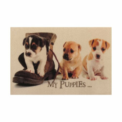 CaliCosy Deurmat voor puppy's l60 x b40 cm