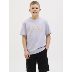 Jack & Jones Jjdetroit tee ss crew neck jnr