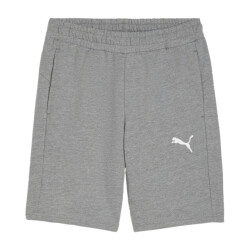 Puma Heren team goal vrijetijdsshort