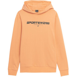 4F Heren m266 hoodie