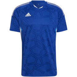 Adidas Heren condivo 22 wedstrijd jersey