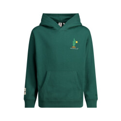America Today Stan jr hoodie