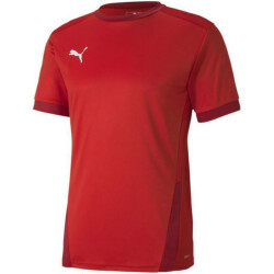 Puma Heren teamgoal 23 jersey