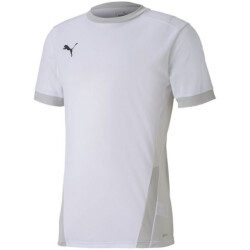 Puma Heren teamgoal 23 jersey
