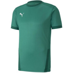 Puma Heren teamgoal 23 jersey