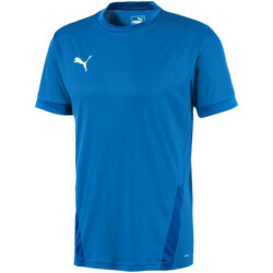 Puma Heren teamgoal 23 jersey