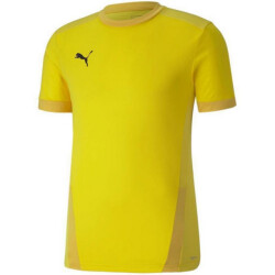 Puma Heren teamgoal 23 jersey