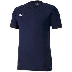Puma Heren teamgoal 23 jersey