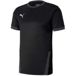 Puma Heren teamgoal 23 jersey