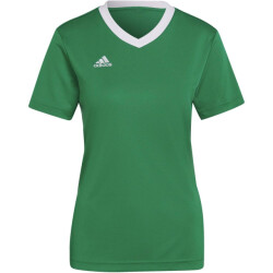 Adidas Dames entrada 22 jersey