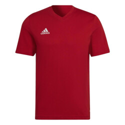 Adidas Heren entrada 22 t-shirt