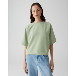 Opus ginus 1039874829100 ginus 300 green glow