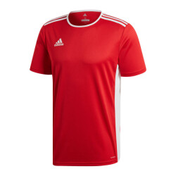 Adidas Heren entrada 18 voetbal jersey