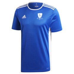 Adidas Kinder/kids entrada 18 jersey