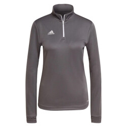 Adidas Dames entrada 22 sweatshirt